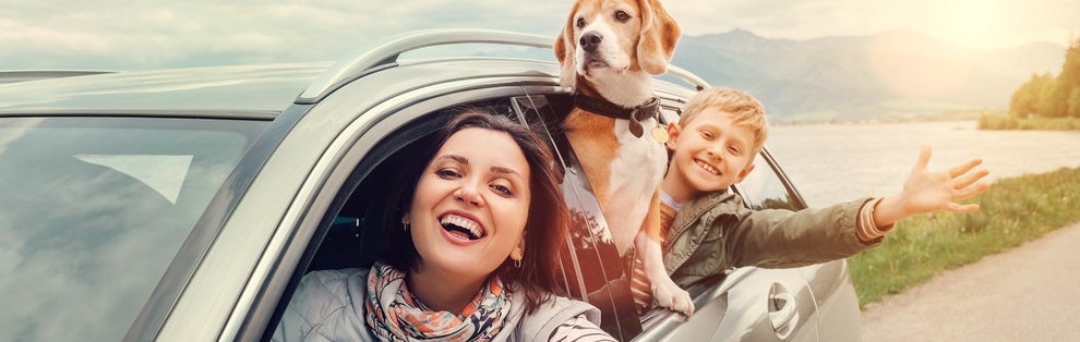 Best Vehicles for Pets near IN