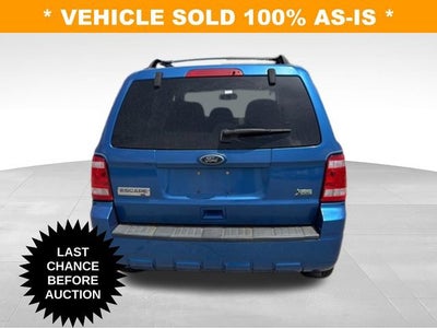2011 Ford Escape XLT