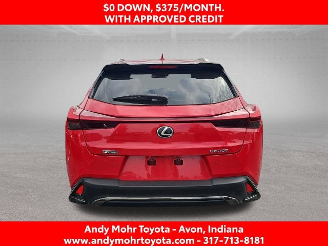 2019 Lexus UX 200 F SPORT