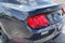 2023 Ford Mustang EcoBoost