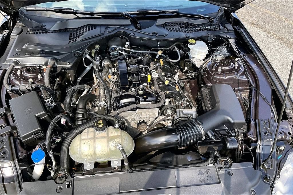 2023 Ford Mustang EcoBoost