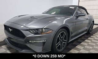 2021 Ford Mustang EcoBoost