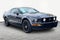 2007 Ford Mustang GT Deluxe