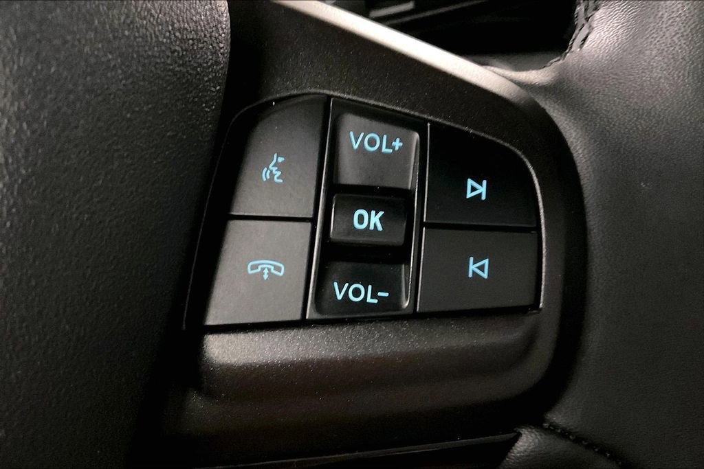 2022 Ford Mustang Mach-E California Route 1