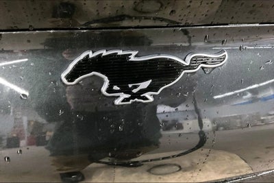 2022 Ford Mustang Mach-E California Route 1