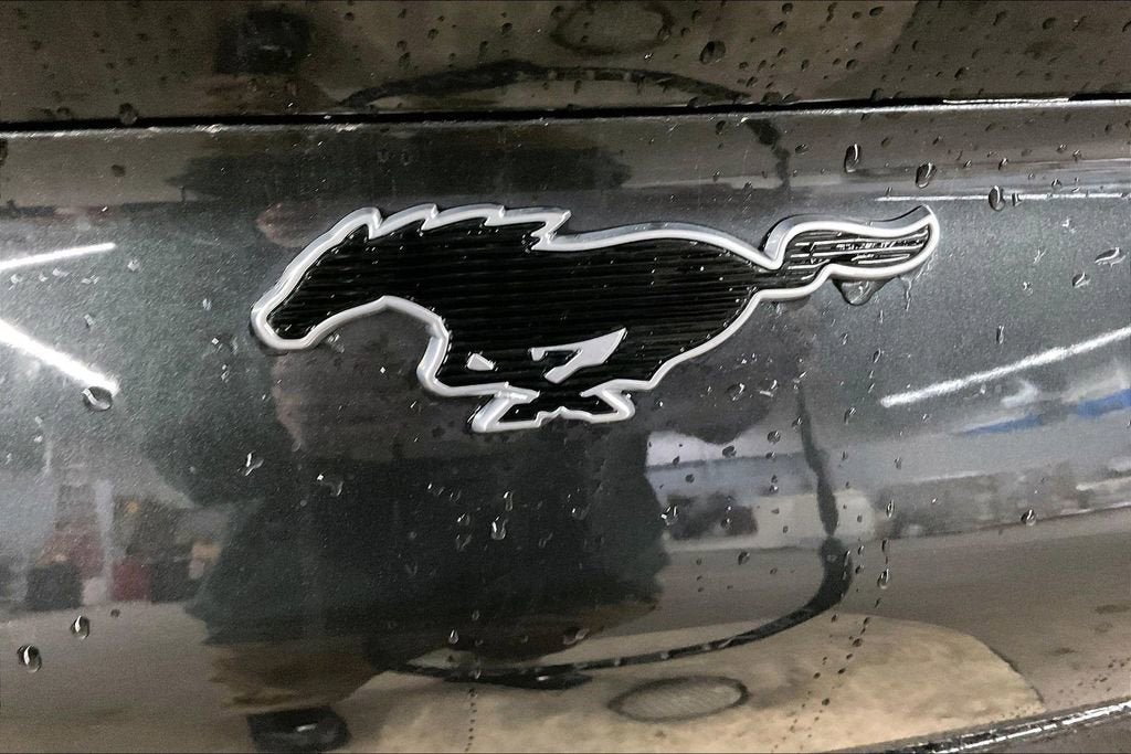 2022 Ford Mustang Mach-E California Route 1