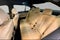 2017 BMW 5 Series 530i xDrive