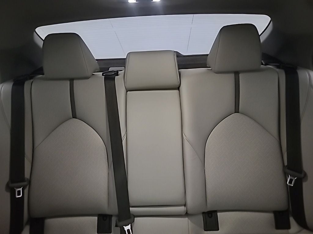 2024 Toyota CAMRY XLE