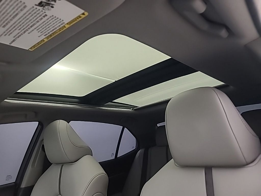 2024 Toyota CAMRY XLE