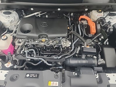 2025 Toyota RAV4 Hybrid XLE