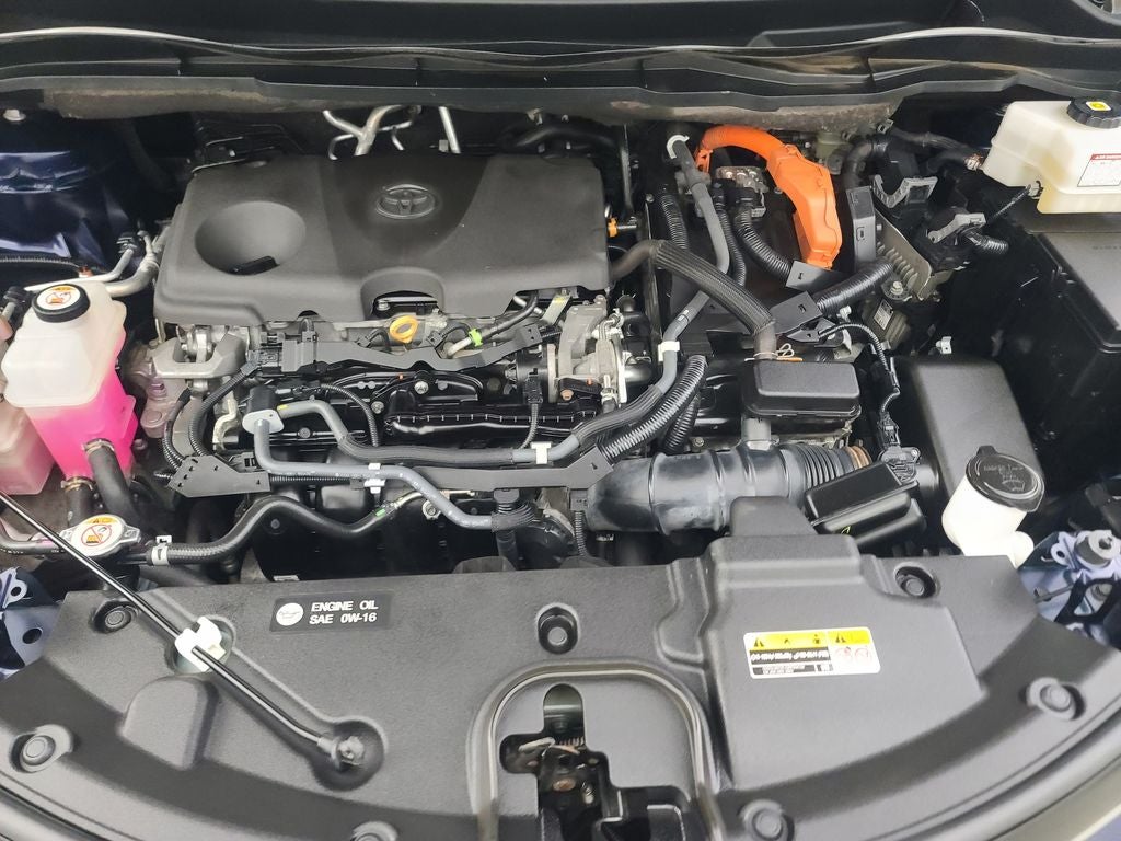 2021 Toyota Sienna Platinum 7 Passenger