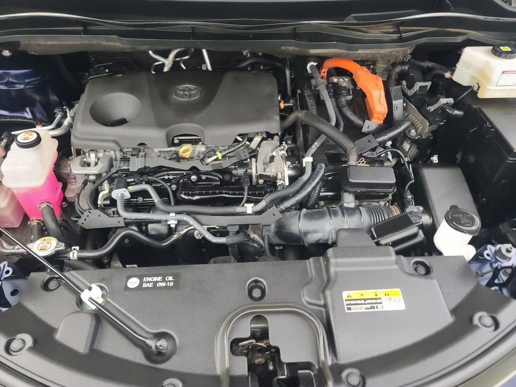 2021 Toyota Sienna Platinum 7 Passenger