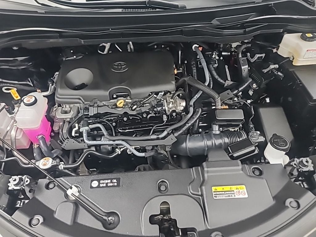 2025 Toyota Sienna LE 8 Passenger