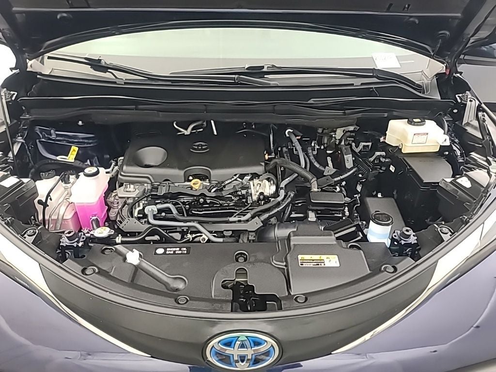 2025 Toyota Sienna XLE 8 Passenger