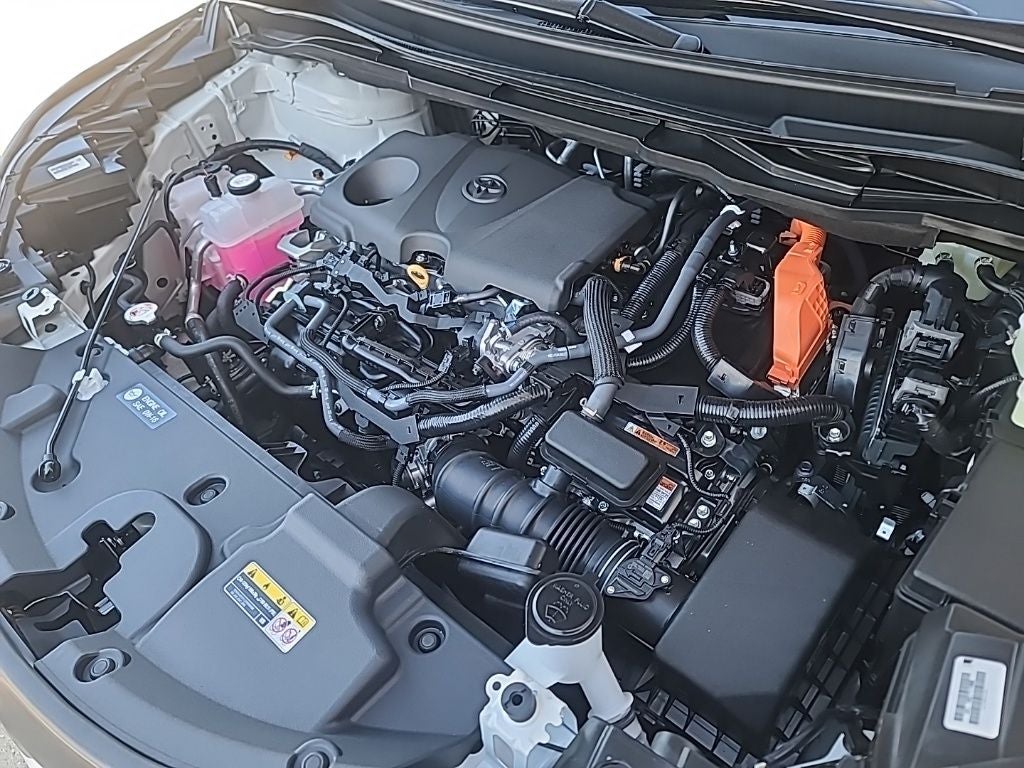 2026 Toyota Sienna XLE 7 Passenger