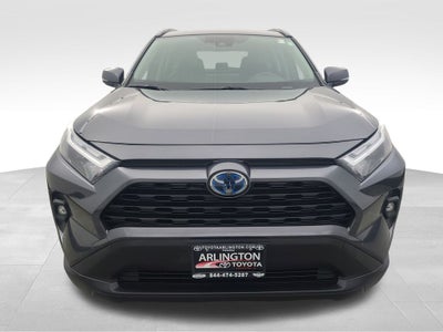2024 Toyota RAV4 Hybrid XLE Premium