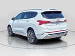2021 Hyundai Santa Fe Calligraphy