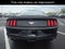 2015 Ford Mustang EcoBoost