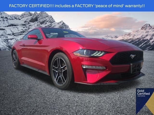 2023 Ford Mustang EcoBoost