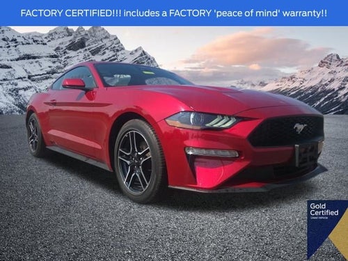 2023 Ford Mustang EcoBoost