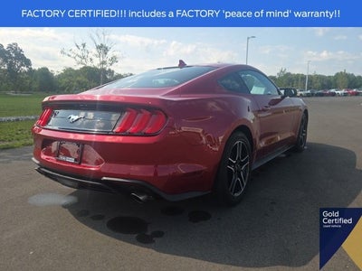 2023 Ford Mustang EcoBoost