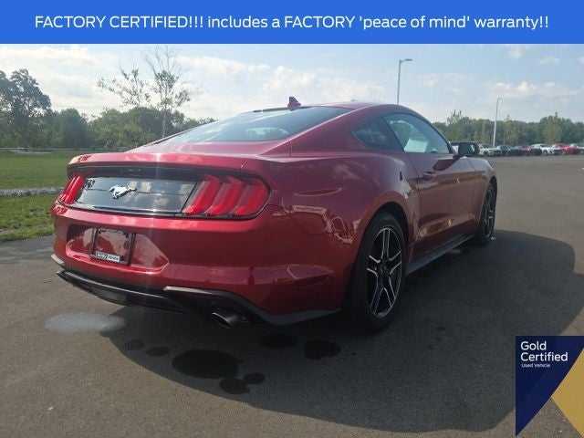 2023 Ford Mustang EcoBoost
