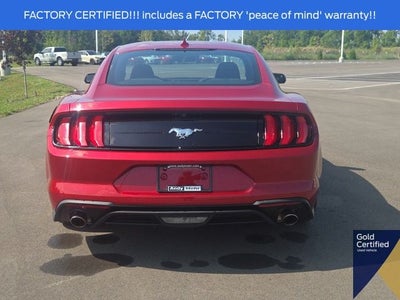 2023 Ford Mustang EcoBoost