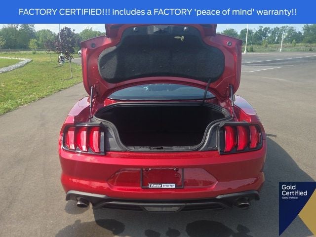 2023 Ford Mustang EcoBoost