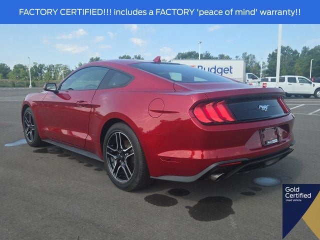 2023 Ford Mustang EcoBoost