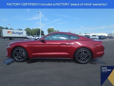2023 Ford Mustang EcoBoost
