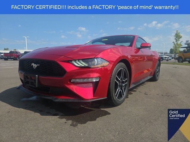 2023 Ford Mustang EcoBoost