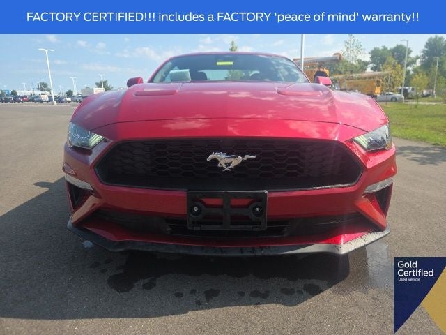 2023 Ford Mustang EcoBoost