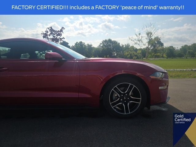 2023 Ford Mustang EcoBoost