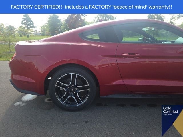 2023 Ford Mustang EcoBoost