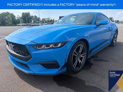 2024 Ford Mustang EcoBoost