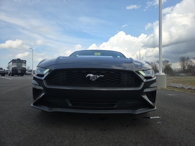 2023 Ford Mustang EcoBoost