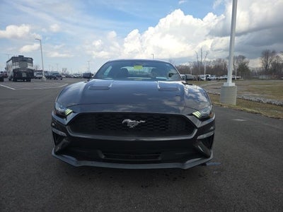 2023 Ford Mustang EcoBoost