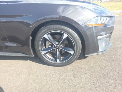 2023 Ford Mustang EcoBoost