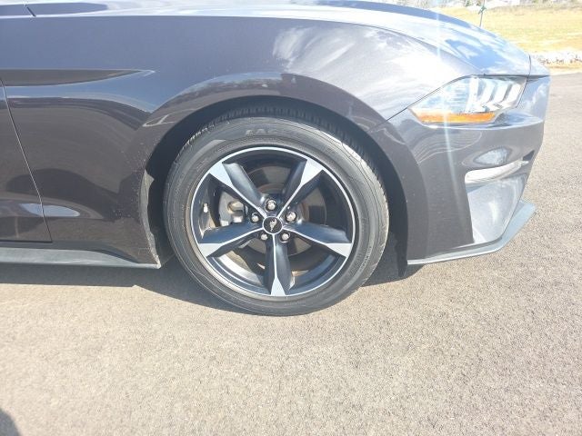 2023 Ford Mustang EcoBoost