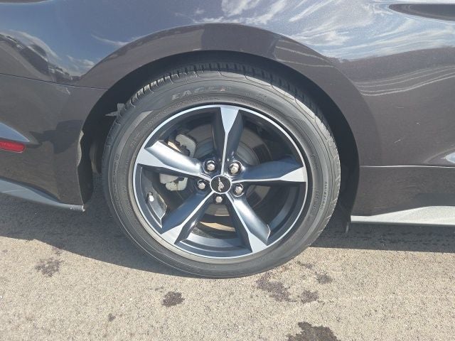 2023 Ford Mustang EcoBoost