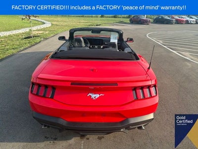 2024 Ford Mustang EcoBoost Premium