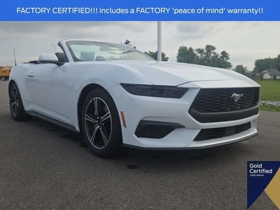 2025 Ford Mustang EcoBoost Premium