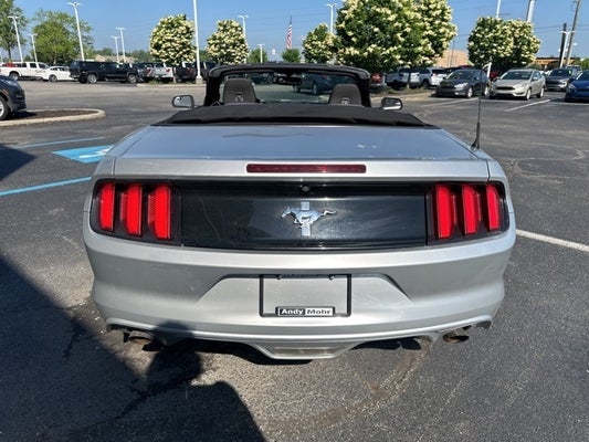2016 Ford Mustang V6 in Indianapolis, IN - Andy Mohr Automotive