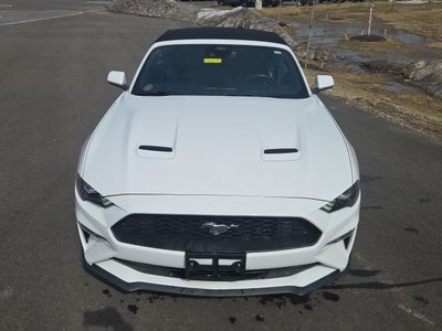2023 Ford Mustang EcoBoost Premium