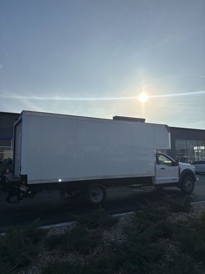 2025 Ford F-600SD xl