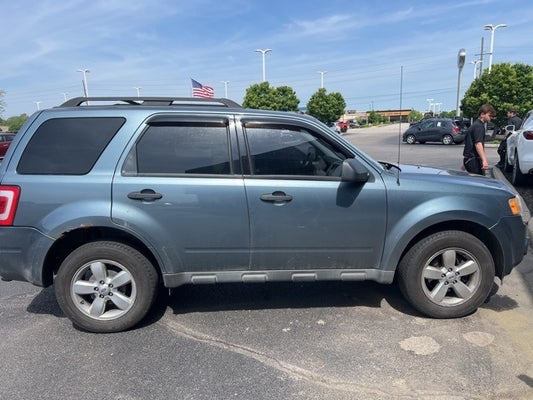 2010 Ford Escape XLT in Indianapolis, IN - Andy Mohr Automotive