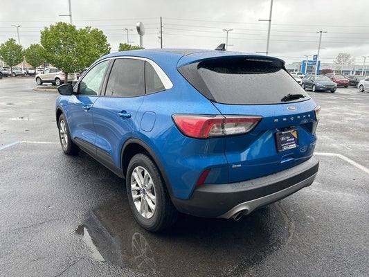 2021 Ford Escape SE Hybrid in Indianapolis, IN - Andy Mohr Automotive