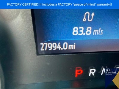 2023 Ford F-150 XL STX