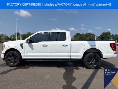 2023 Ford F-150 XLT