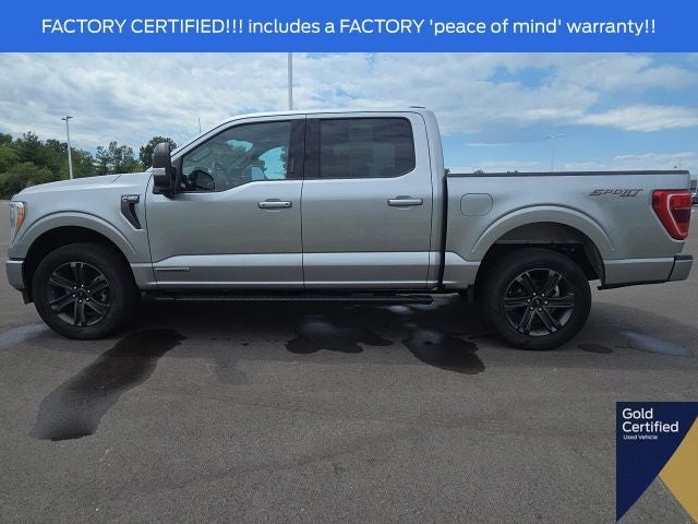 2023 Ford F-150 XLT